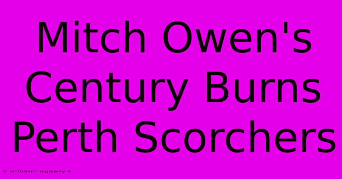 Mitch Owen's Century Burns Perth Scorchers