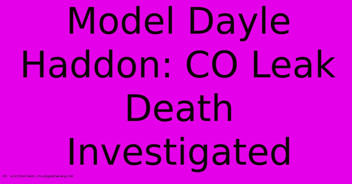 Model Dayle Haddon: CO Leak Death Investigated