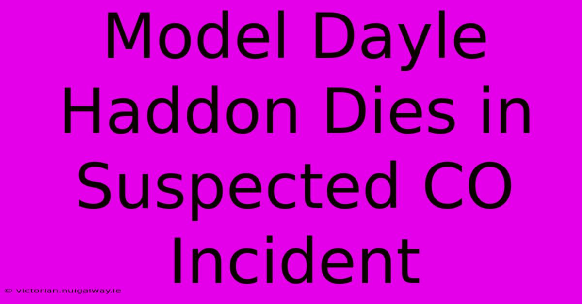 Model Dayle Haddon Dies In Suspected CO Incident