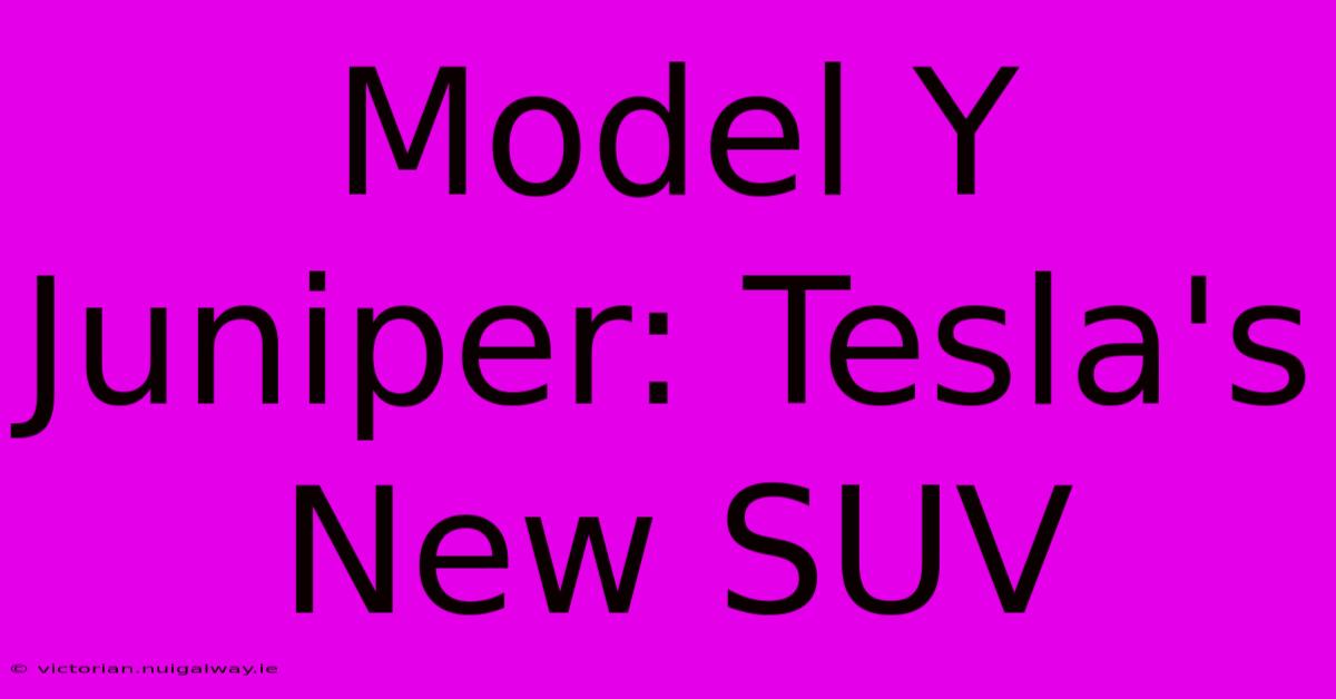 Model Y Juniper: Tesla's New SUV