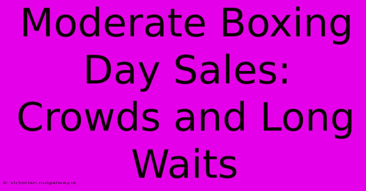 Moderate Boxing Day Sales: Crowds And Long Waits