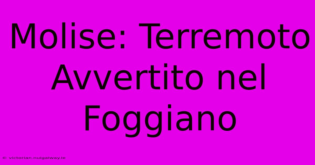 Molise: Terremoto Avvertito Nel Foggiano 