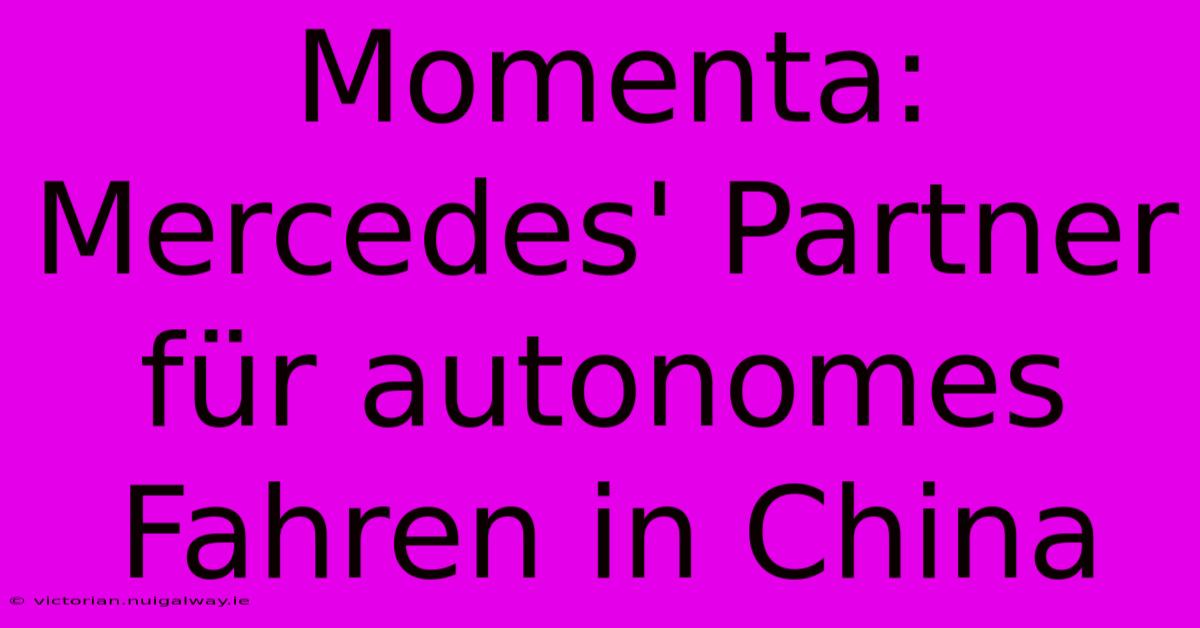 Momenta: Mercedes' Partner Für Autonomes Fahren In China