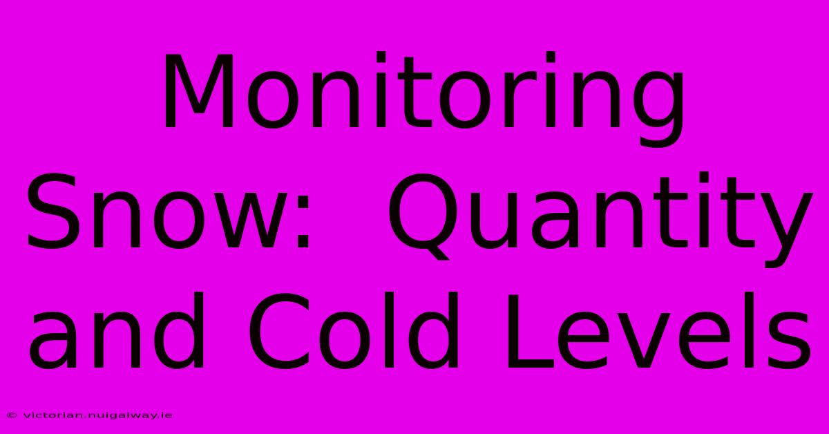 Monitoring Snow:  Quantity And Cold Levels