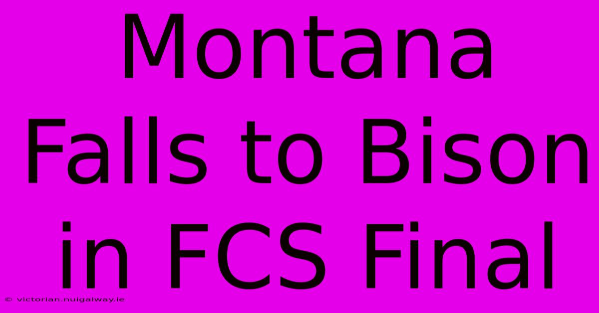 Montana Falls To Bison In FCS Final