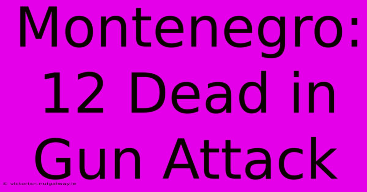 Montenegro: 12 Dead In Gun Attack