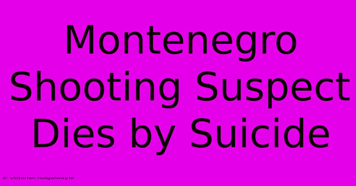 Montenegro Shooting Suspect Dies By Suicide