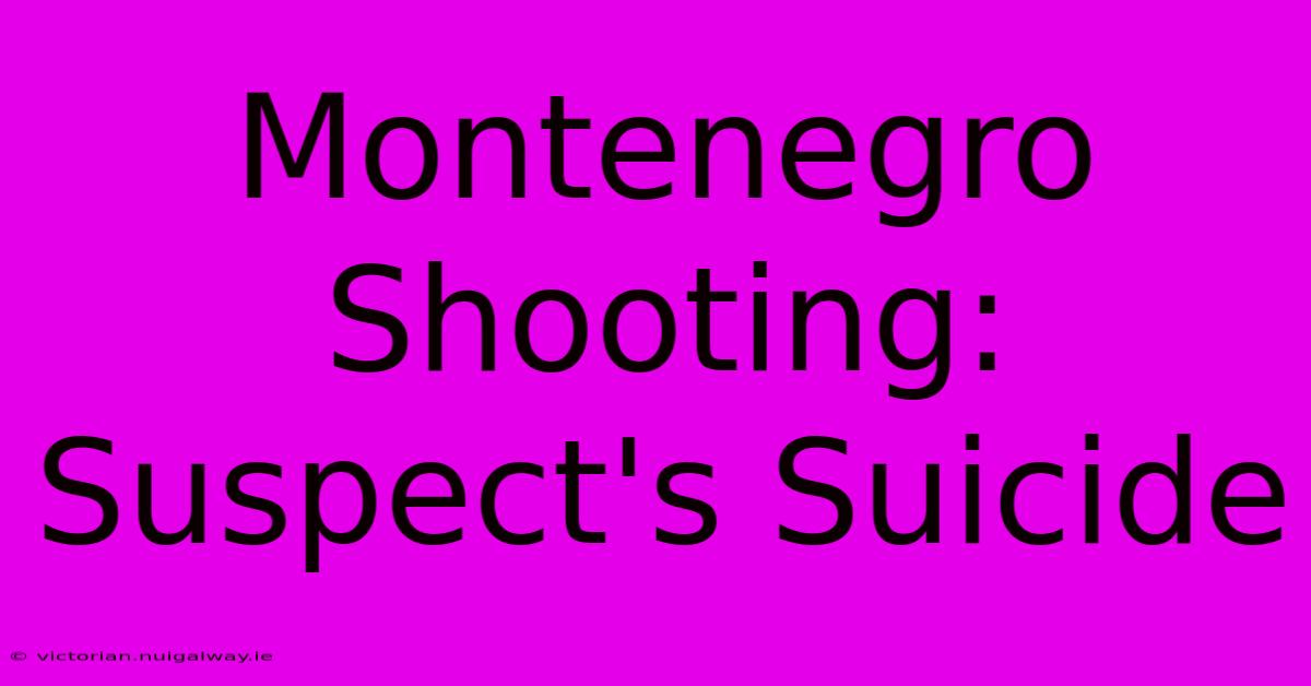 Montenegro Shooting: Suspect's Suicide