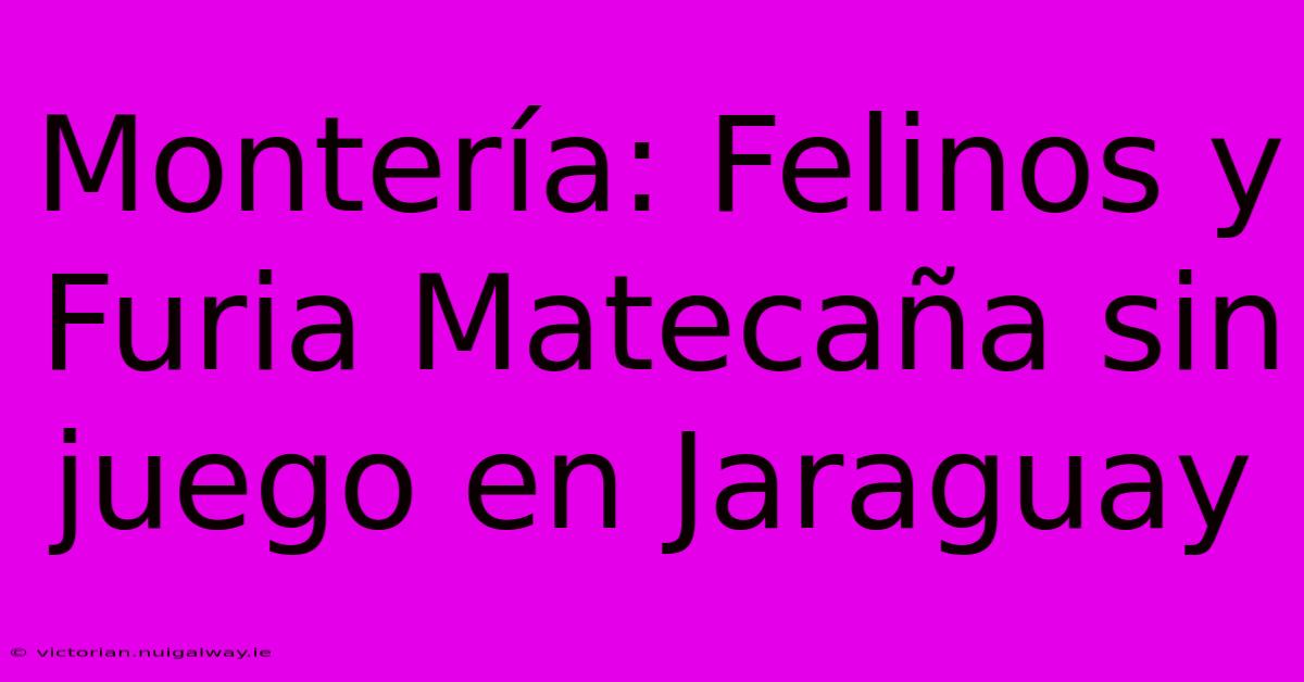 Montería: Felinos Y Furia Matecaña Sin Juego En Jaraguay 