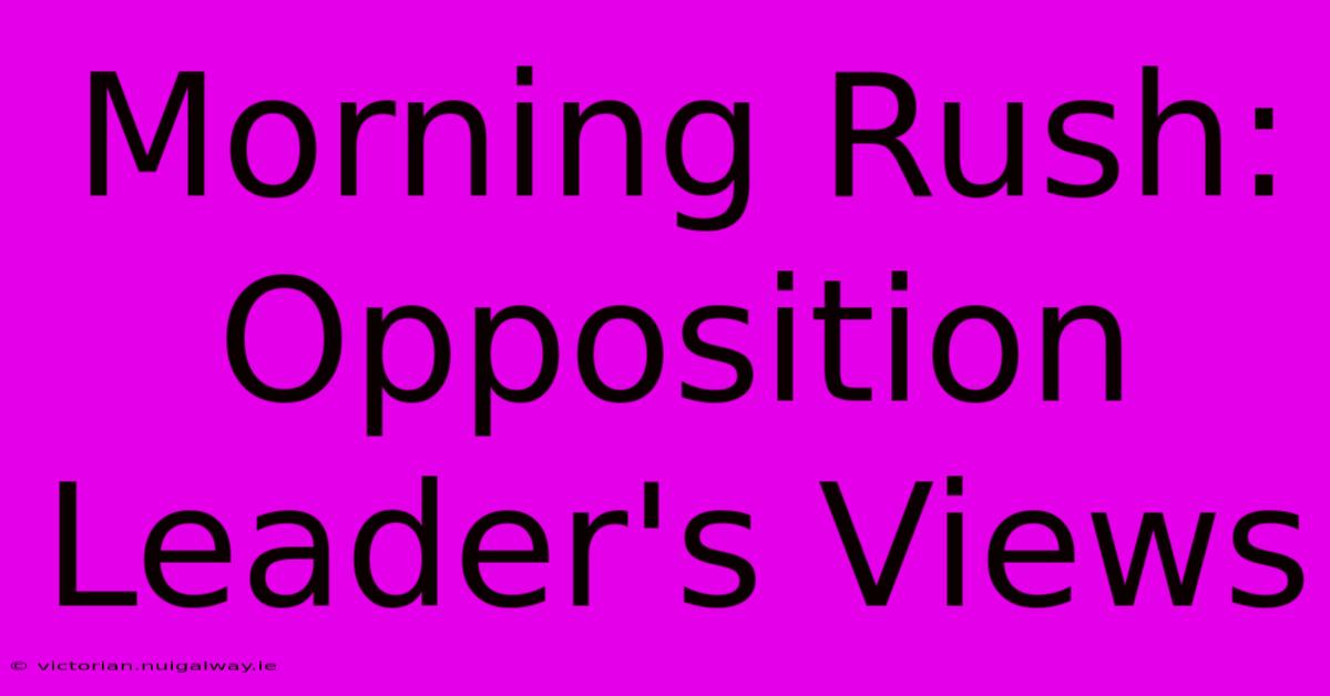 Morning Rush: Opposition Leader's Views