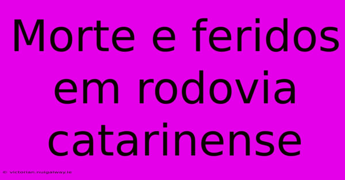 Morte E Feridos Em Rodovia Catarinense