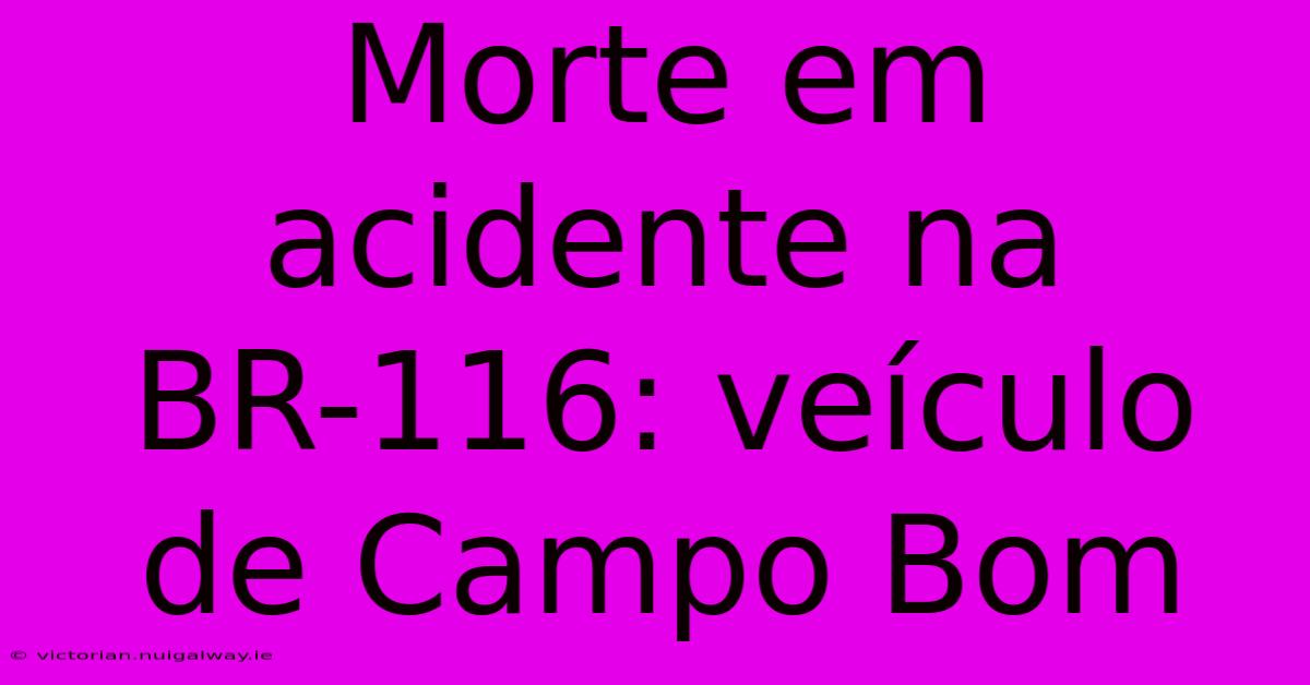 Morte Em Acidente Na BR-116: Veículo De Campo Bom