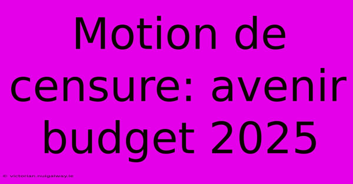 Motion De Censure: Avenir Budget 2025