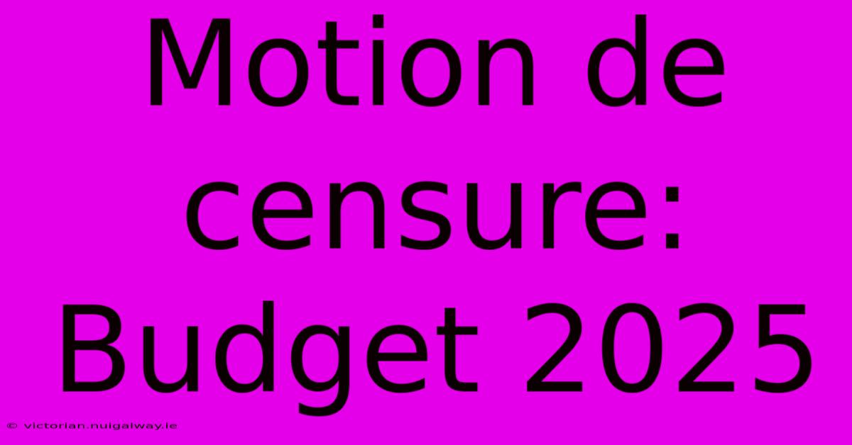 Motion De Censure: Budget 2025