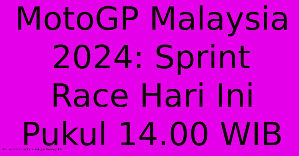 MotoGP Malaysia 2024: Sprint Race Hari Ini Pukul 14.00 WIB 