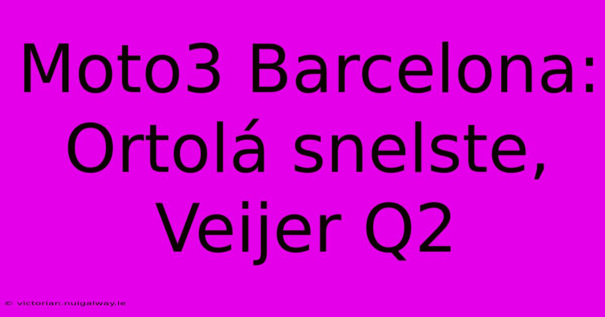 Moto3 Barcelona: Ortolá Snelste, Veijer Q2