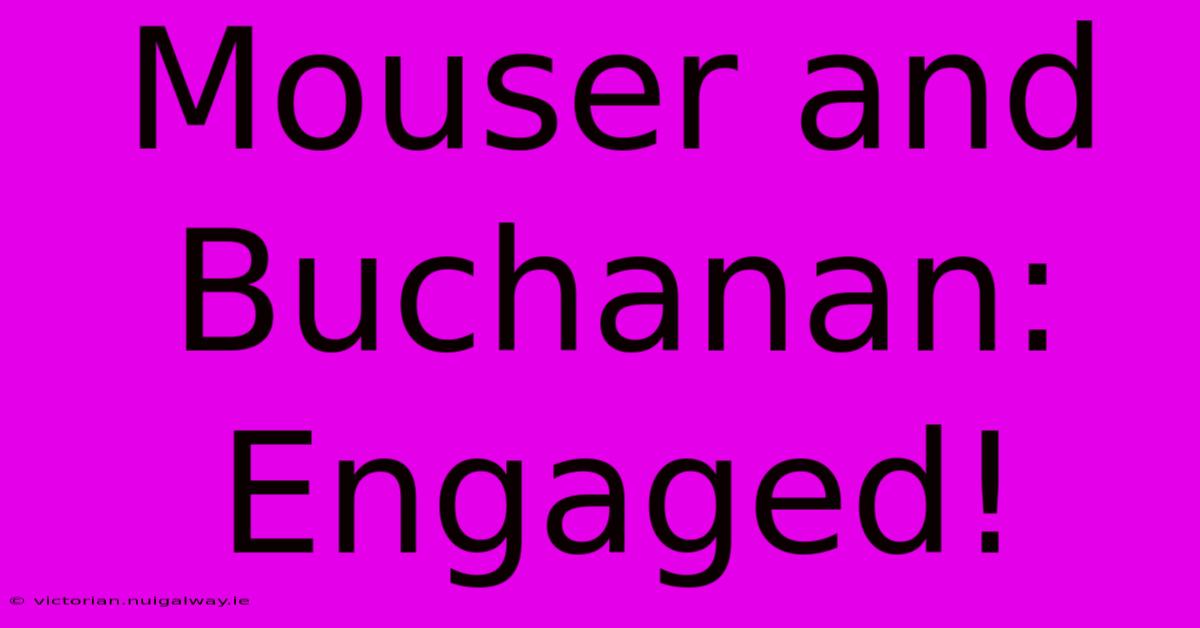 Mouser And Buchanan: Engaged!