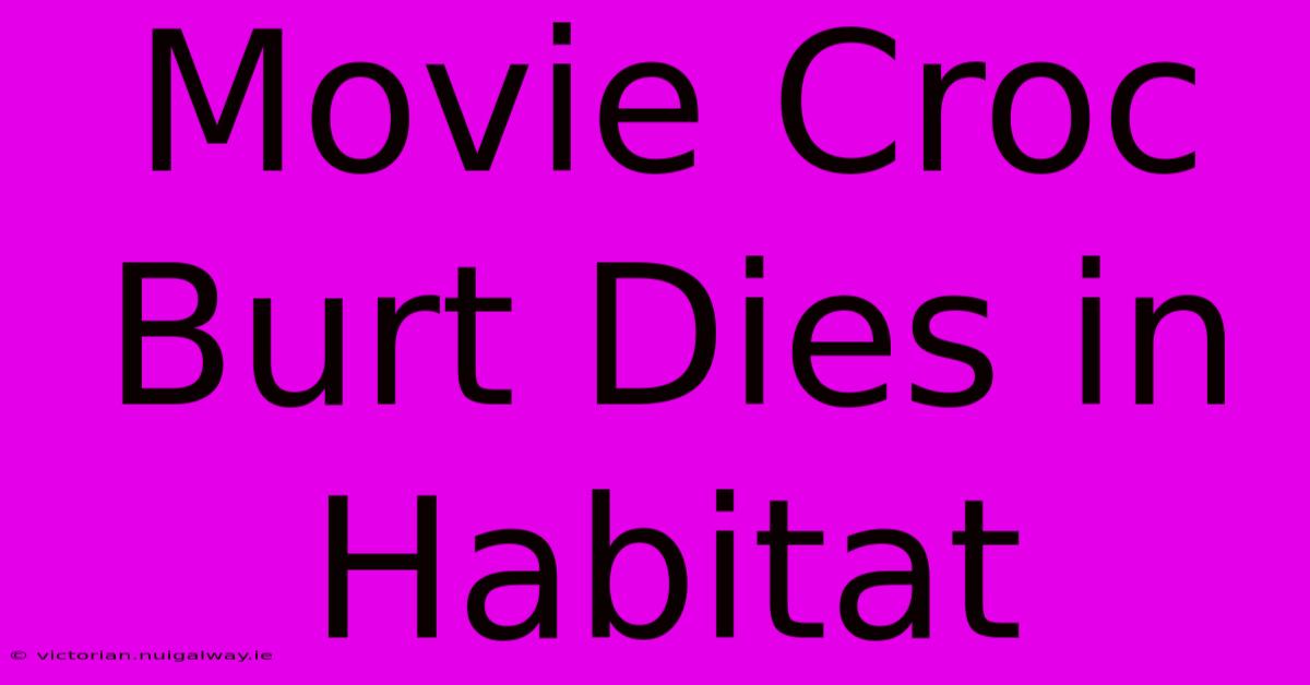 Movie Croc Burt Dies In Habitat