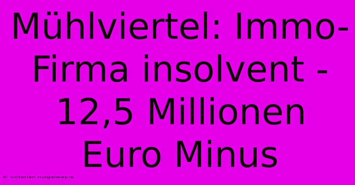 Mühlviertel: Immo-Firma Insolvent - 12,5 Millionen Euro Minus