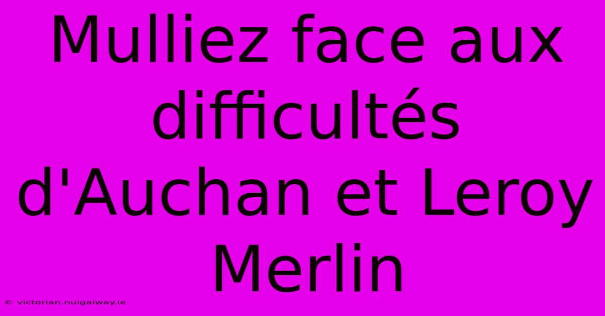 Mulliez Face Aux Difficultés D'Auchan Et Leroy Merlin