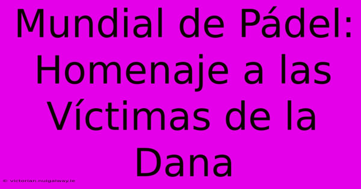 Mundial De Pádel: Homenaje A Las Víctimas De La Dana