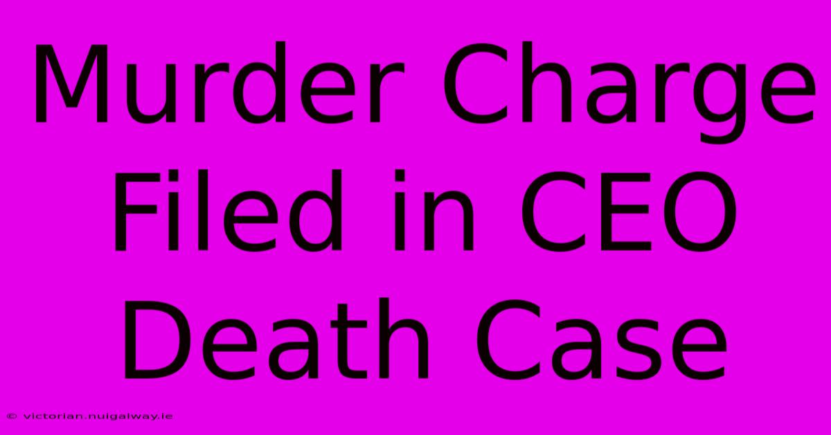 Murder Charge Filed In CEO Death Case