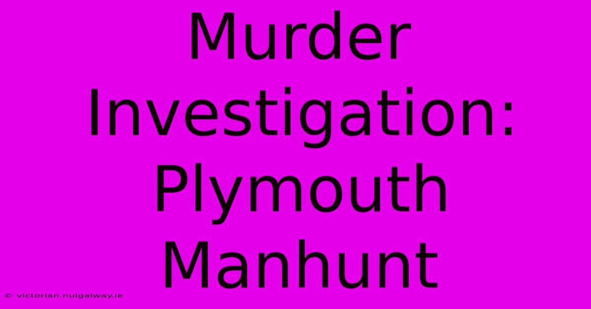 Murder Investigation: Plymouth Manhunt