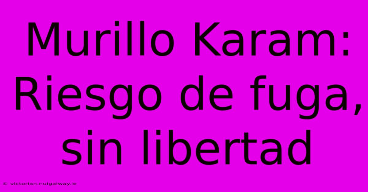 Murillo Karam: Riesgo De Fuga, Sin Libertad