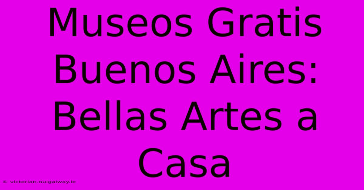 Museos Gratis Buenos Aires: Bellas Artes A Casa