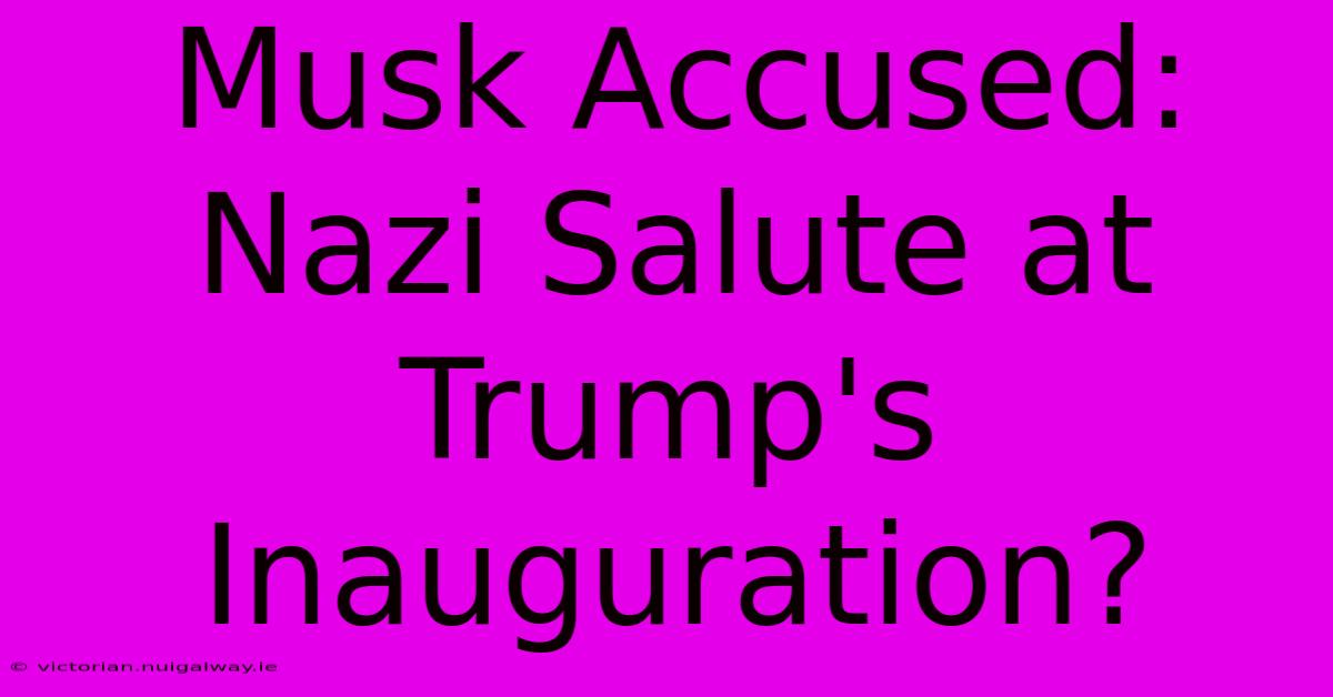 Musk Accused: Nazi Salute At Trump's Inauguration?