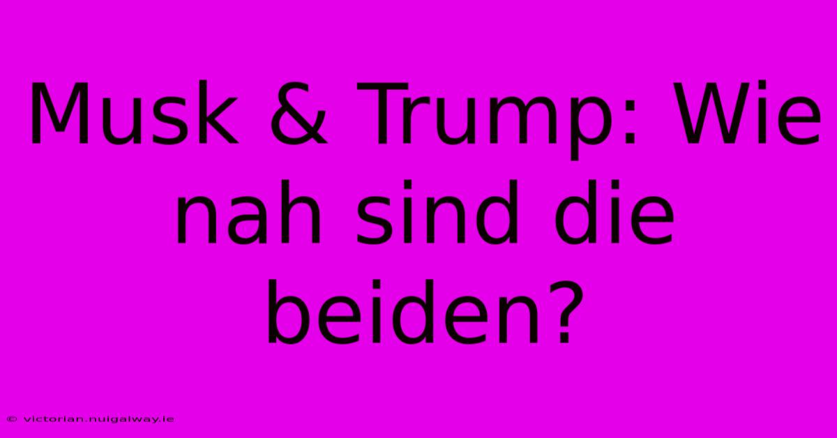 Musk & Trump: Wie Nah Sind Die Beiden? 