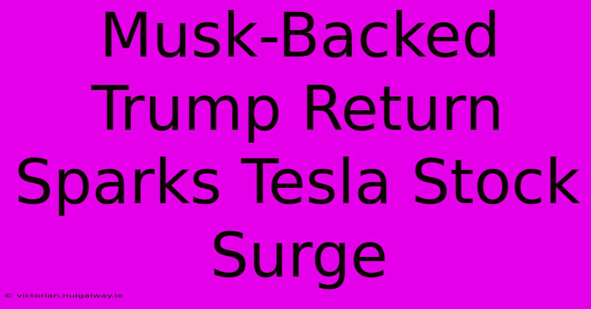 Musk-Backed Trump Return Sparks Tesla Stock Surge