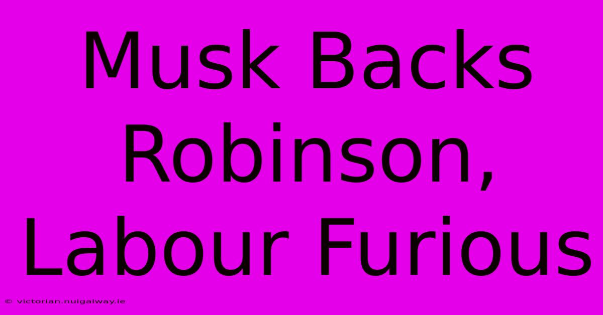 Musk Backs Robinson, Labour Furious