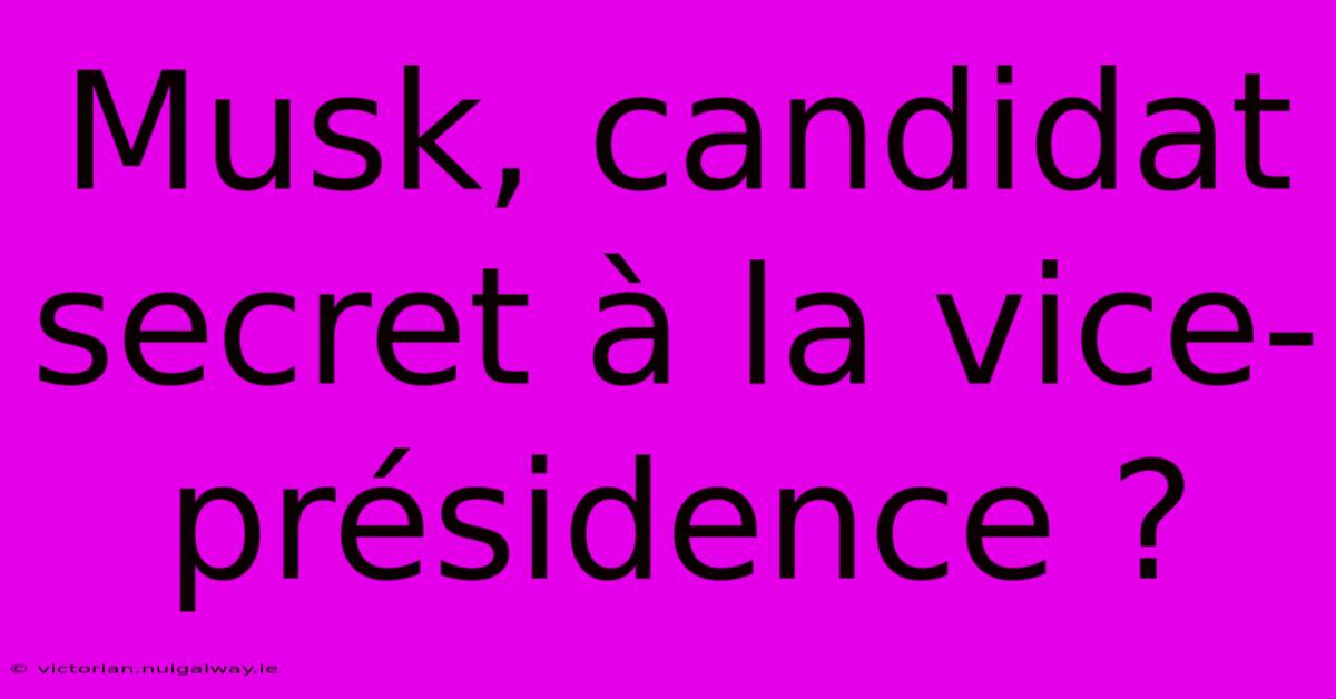 Musk, Candidat Secret À La Vice-présidence ?