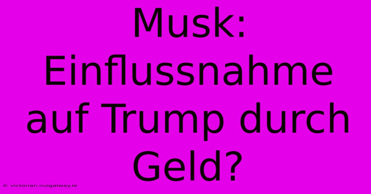 Musk: Einflussnahme Auf Trump Durch Geld?