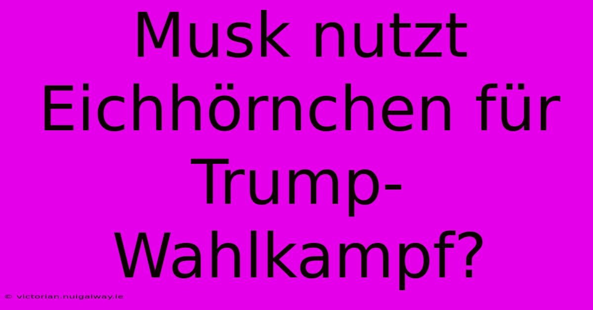 Musk Nutzt Eichhörnchen Für Trump-Wahlkampf?