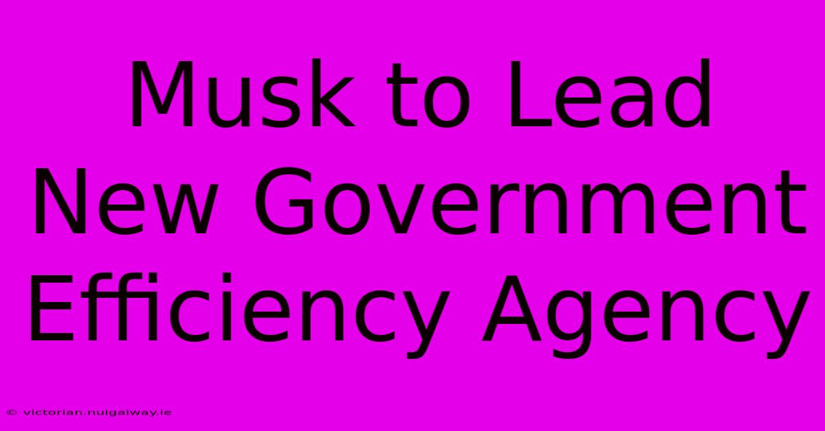 Musk To Lead New Government Efficiency Agency