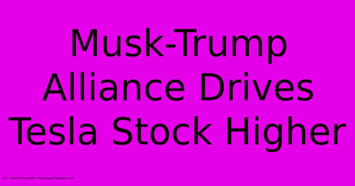 Musk-Trump Alliance Drives Tesla Stock Higher