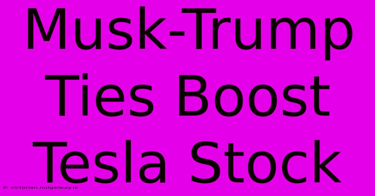 Musk-Trump Ties Boost Tesla Stock