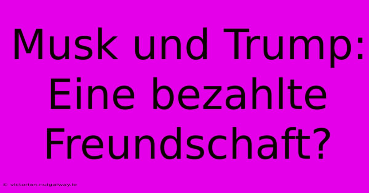 Musk Und Trump: Eine Bezahlte Freundschaft?