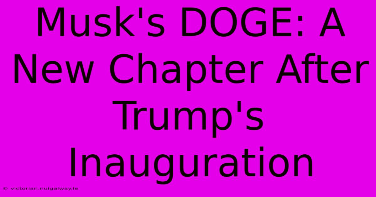 Musk's DOGE: A New Chapter After Trump's Inauguration