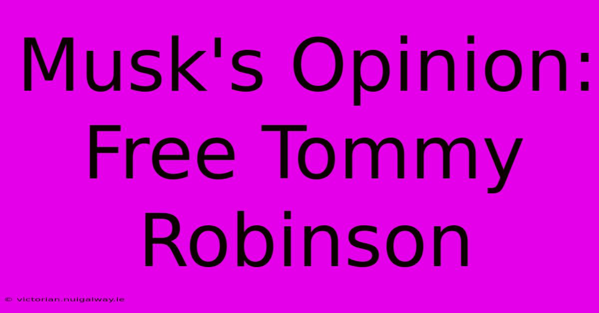 Musk's Opinion: Free Tommy Robinson