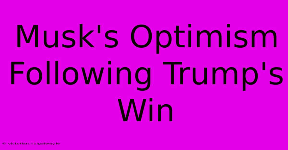 Musk's Optimism Following Trump's Win