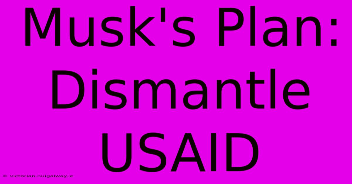 Musk's Plan: Dismantle USAID