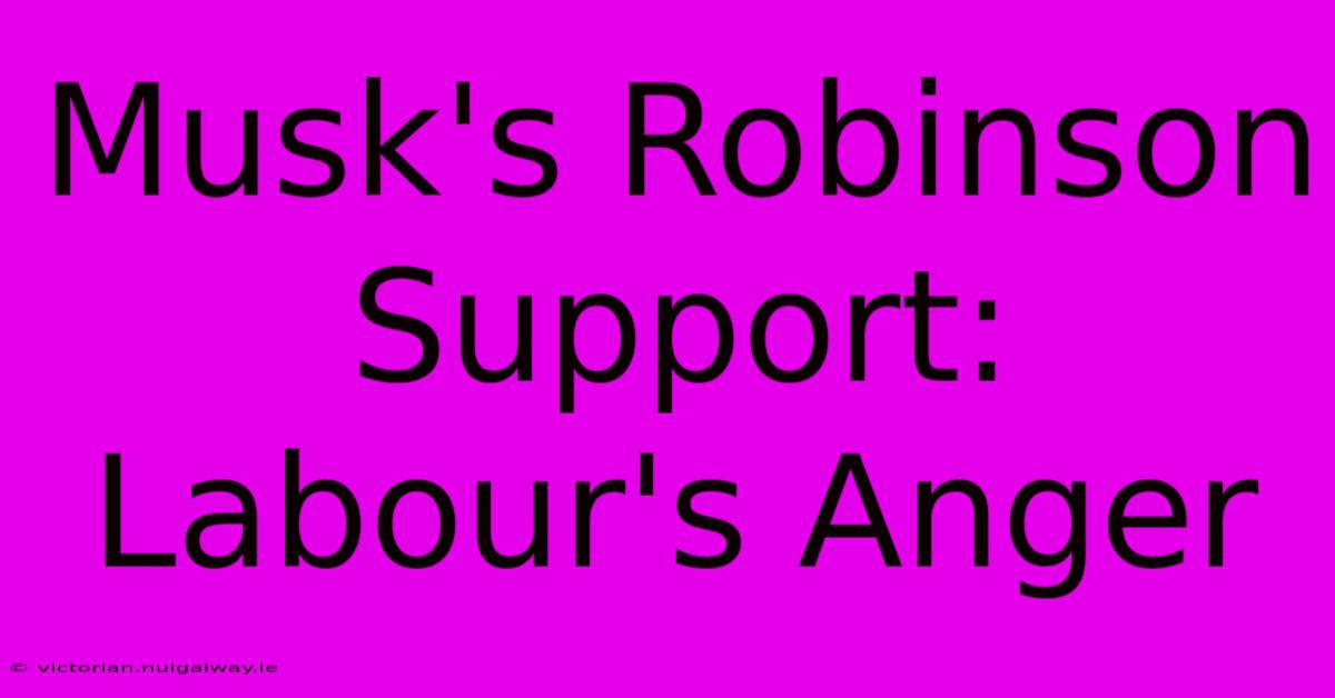 Musk's Robinson Support: Labour's Anger