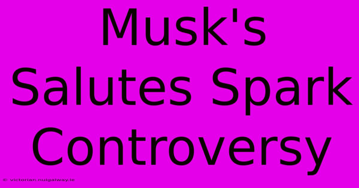 Musk's Salutes Spark Controversy