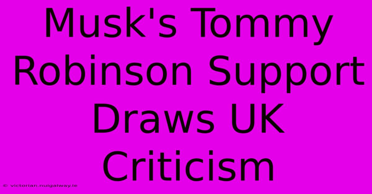 Musk's Tommy Robinson Support Draws UK Criticism