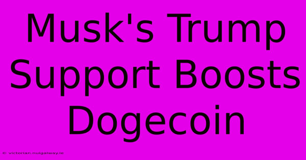 Musk's Trump Support Boosts Dogecoin