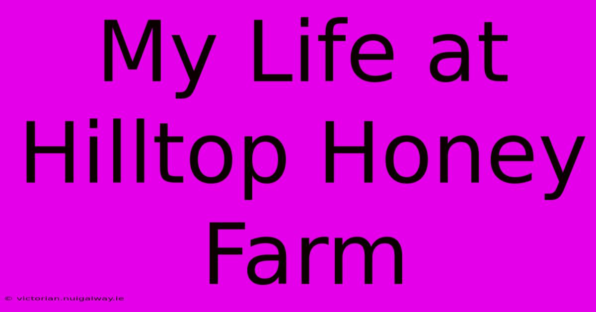 My Life At Hilltop Honey Farm