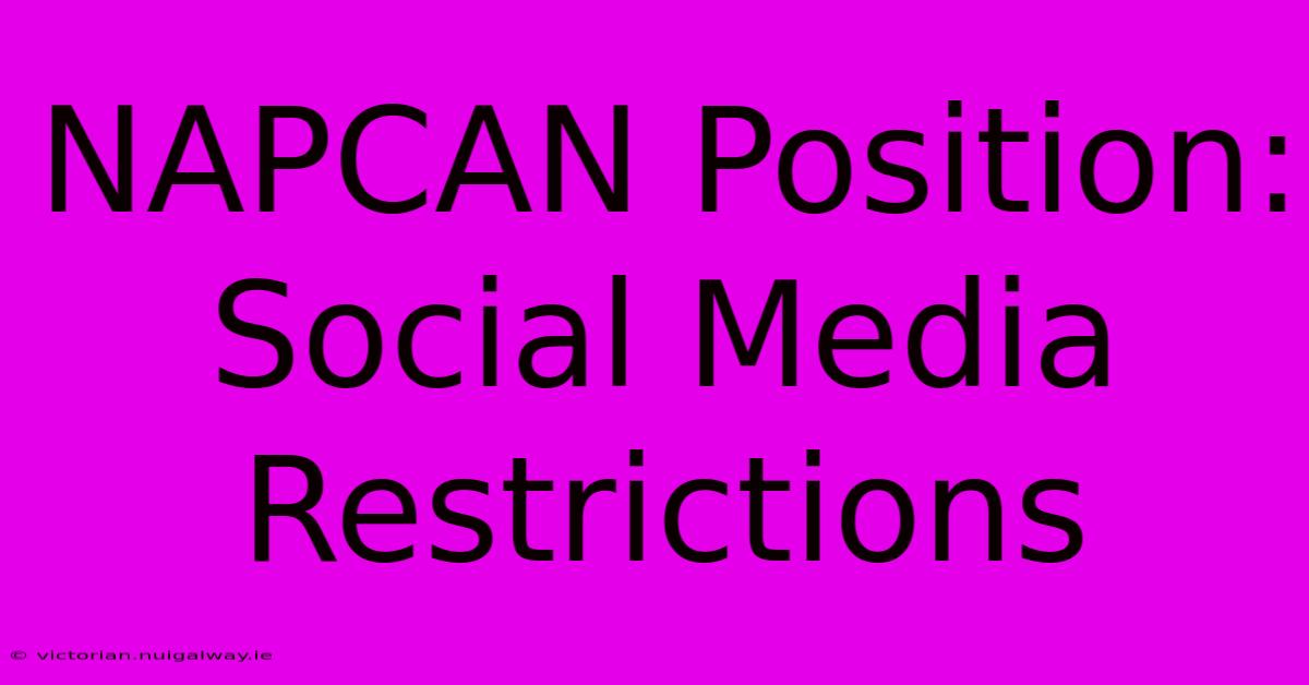 NAPCAN Position: Social Media Restrictions